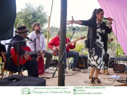 Festival Mar de Tethys 2026 - Bodega Vetas
